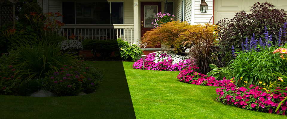 Ft Mitchell Landscapers